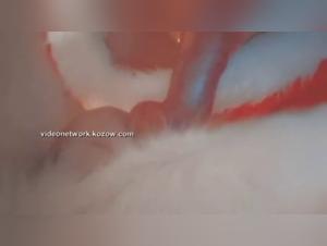 Shock Video: A Woman and Her Dog - ArtofZoo