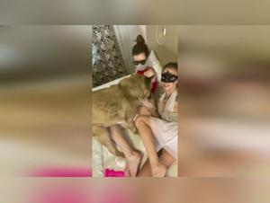 Dog sex video: Sonya and her four-legged friend