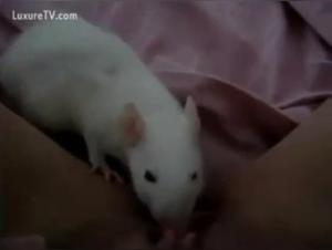 A woman and a rat in a hard sex scene