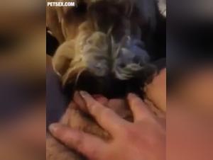 Animalismo Bestiale