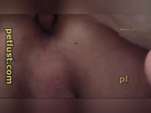 Petlust - Outside Tie: spietata sodomia animale