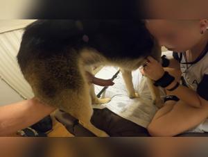 Let's explore the prohibited desires of Amadora with animals