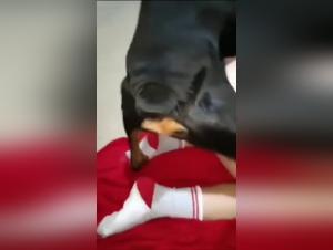 Watch this woman and her dog in a hardcore sex scene