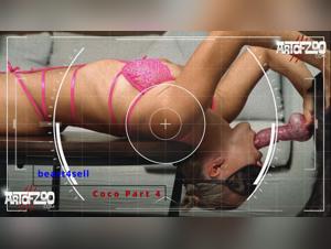 dog knot within the animaltube realm