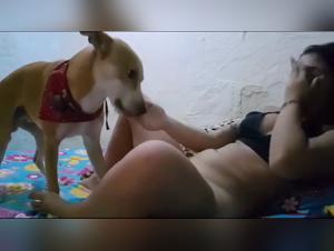 Les Girls Foulent Les Chiens: Bestialite Porno avec Des Filles XXX