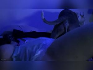 Sensual Videos & Captivating Stories