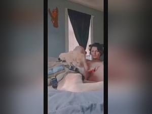 delving into zooskool's dark realm