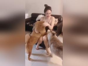 Discover our world of bestiality and sex with animals