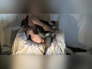 Dog Sex Video: An Extreme Experience