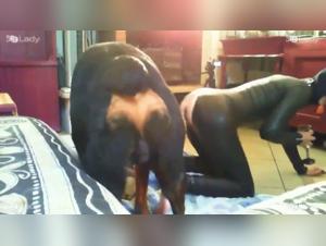 Vidéos de sexe avec chien : découvrez ArtofZoo et la bestiality cum