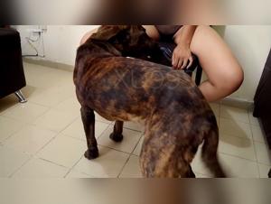 Hardcore Creampie: Explore the Limits of Animal Passion