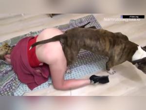 Bestiality sex videos with dogs