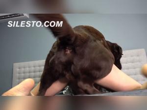 controversial content: critical analysis