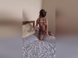 Presentazione felina, divertimento canino, zoofilo estremo