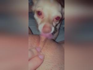 Part 1: Hardcore Doggy Debauchery