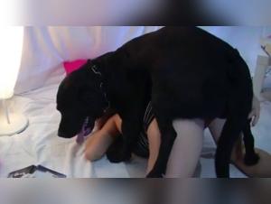 Puttane scatenate: irresistibile lussuria per gli animali