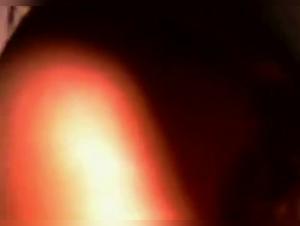 An intense and exciting zoophilia experience