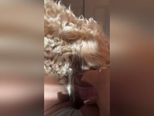 Seine Herrschaft, sein Hund, ein unersattlicher Verlangen