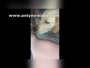 Lussuria selvaggia: bacio con cane, emozioni intense