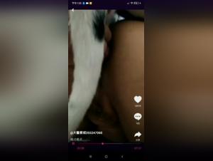 Extreme bestiality sex videos
