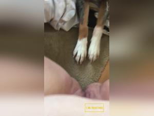 Soumission et Lust :  Quand le Chien Dirige la Baise