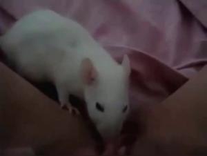 Discover the World of Bestiality and Zoophilia