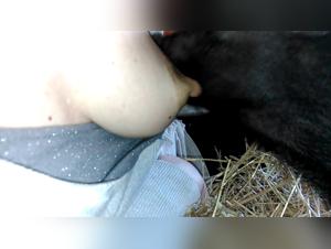 Explore the limits of ecstasy in a shocking bestial video