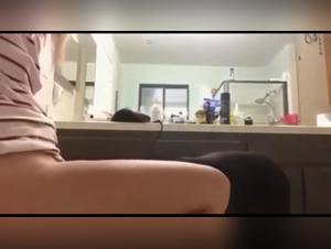 Forbidden Desires, Dog Focus