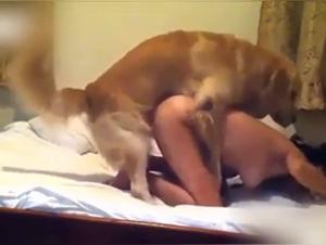 Bestiality and Desire: A Unique Video of Its Kind