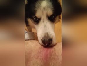 woman and dog: a daring relationship