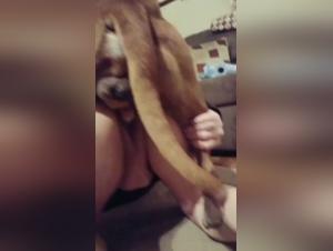 Première Partie :  Domination Sauvage, Fougue Irrésistible