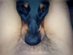 Experience bestiality and extreme sex with our zoophilia video