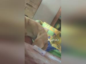 Esclavo del deseo, follando con perro, sumision total