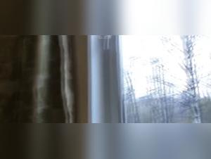 Unveiling Dog Sex Secrets