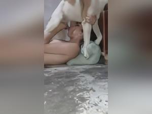 Sex with an animal: an extreme experience