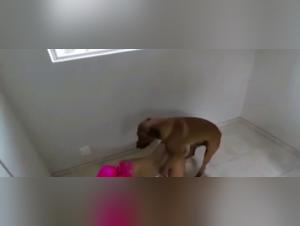 Bestiality Scene: Woman and Dog