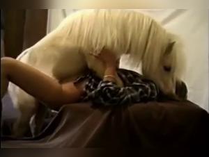 Bestiality Horse Videos: An Exciting Experience