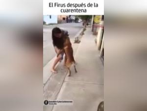 Hard sex scene with a dog