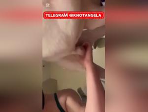 Cane incandescente, troie per cani