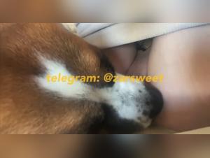 Fuck and dog, wild and intense sexual union