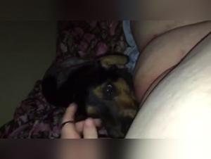 Watch exclusive Dog sex videos