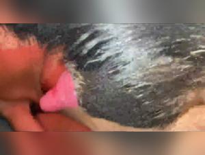 Unique Moments of Bestiality - Sex Videos with Dogs