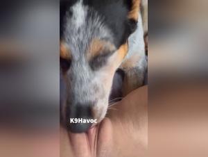 Zofilia et l'Amateur Beastiality