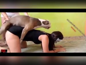 Check out Leena's first experience in a bestiality sex video