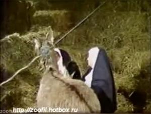 orgies animales dans le logis sacré