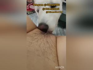 Taboo Unveiling: One Woman, One Dog, Uncontrollable Desires in China