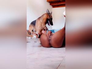 Fuck Animals: A world of forbidden impulses revealed
