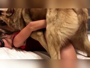 Hardcore Zoophilia: Der Hund verschlingt Sonya gnadenlos