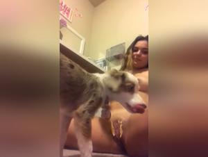 Vidéo Choc : Femme Et Chien Dans Un Acte Interdit