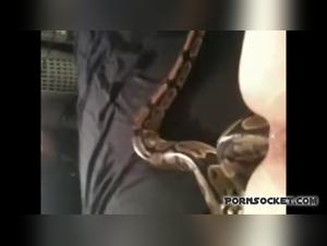 Zoosex Hardcore: donne scopano cani con feroce passione